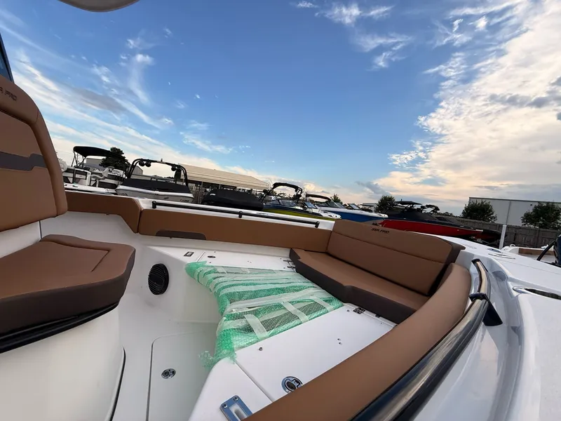 Slide: The Image of Sea Pro 245FLX Sandbar 2025 - 18