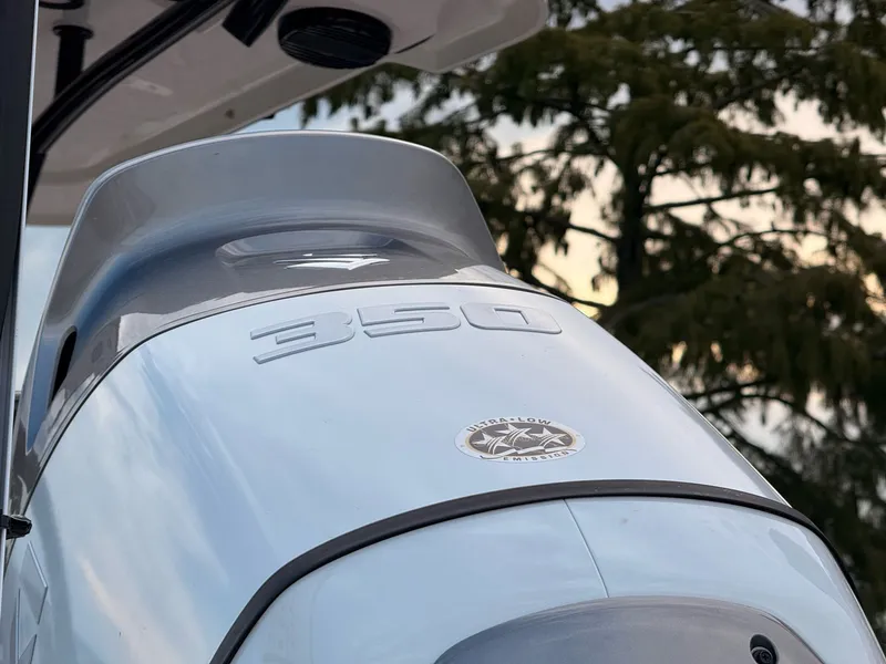 Slide: The Image of Sea Pro 245FLX Sandbar 2025 - 26