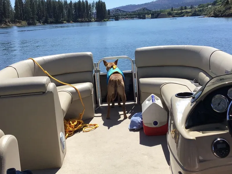 Slide: The Image of Lowe ss 2016 - 1