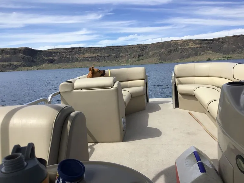 Slide: The Image of Lowe ss 2016 - 2