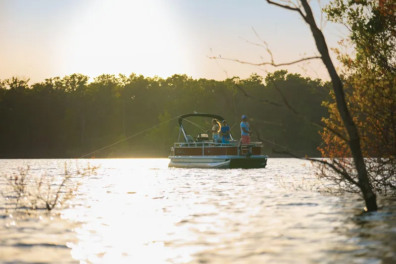 Slide: The Image of Sun Tracker Bass Buggy 16 XL Select 2026 - 84