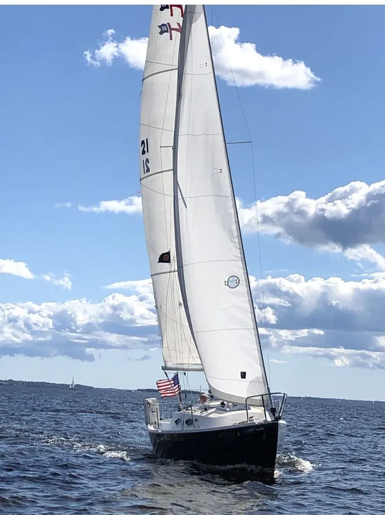 The Image of Schock Harbor 25 2008 - 0