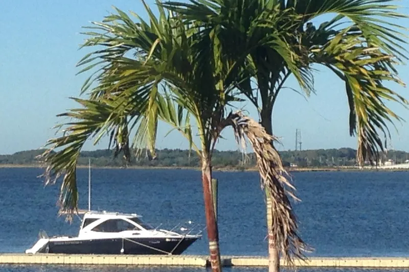 Slide: The Image of 2016 Cutwater C-24 Coupe boat docked by palm trees on a sunny day. - 7
