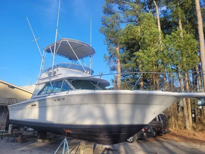 The Image of Sea Ray 310 Sport Bridge 1992 - 0