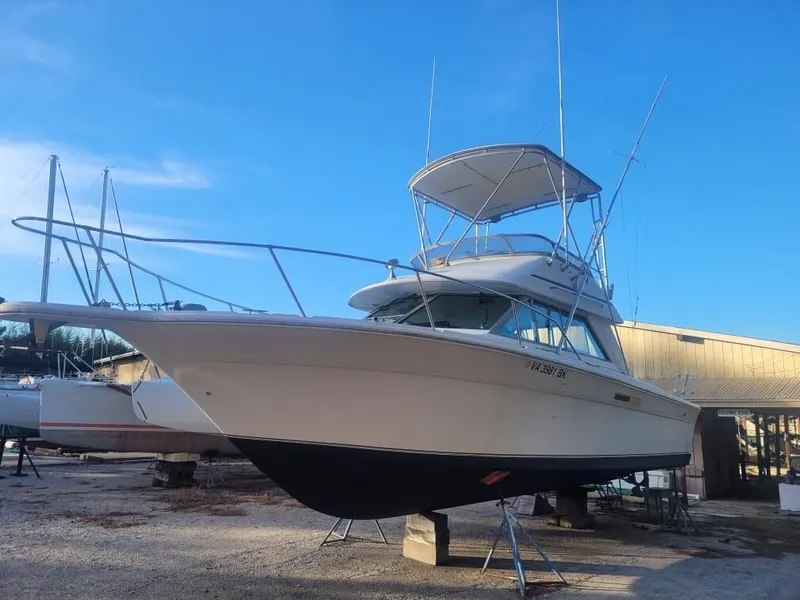 Slide: The Image of Sea Ray 310 Sport Bridge 1992 - 1