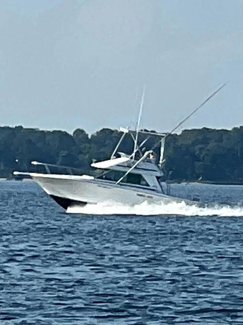 Slide: The Image of Sea Ray 310 Sport Bridge 1992 - 4