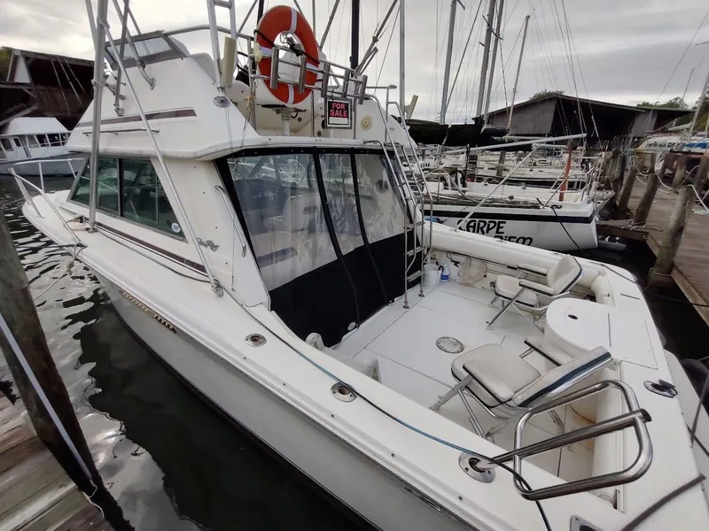 Slide: The Image of Sea Ray 310 Sport Bridge 1992 - 5