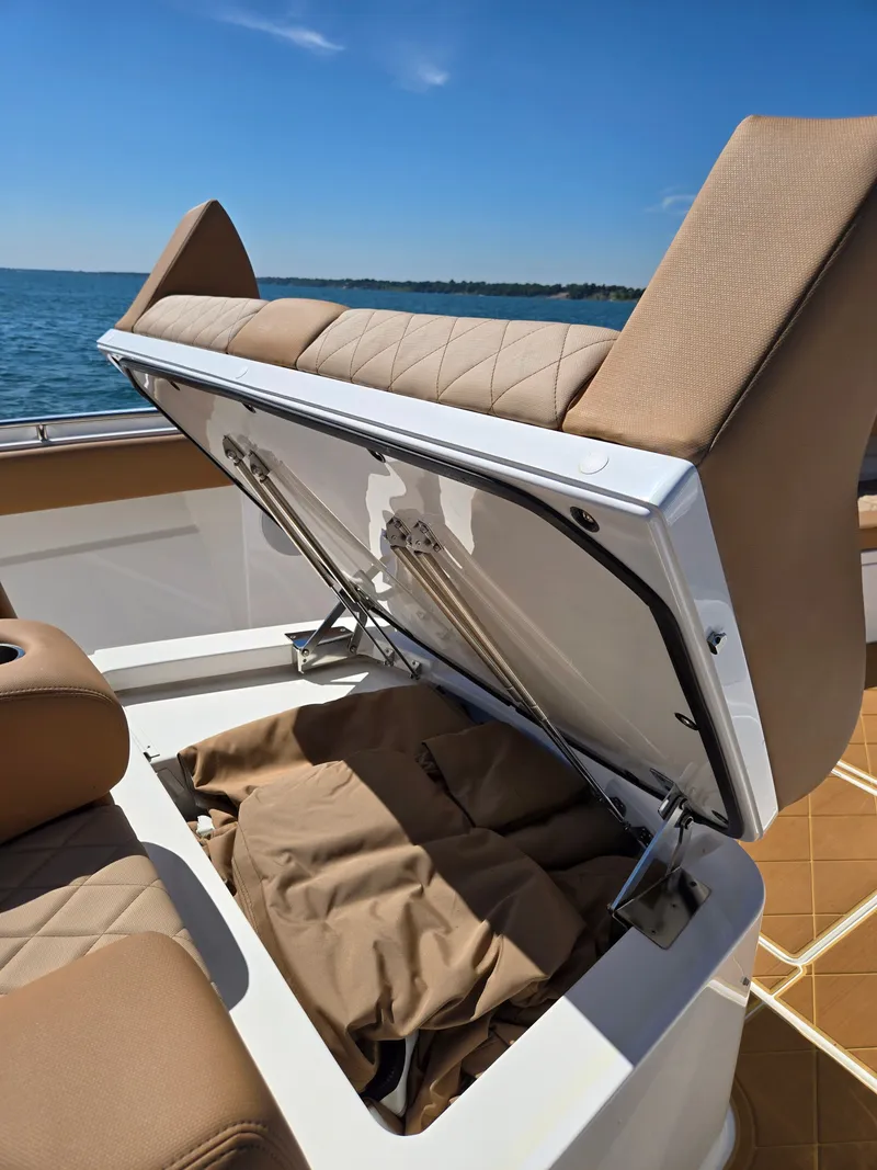 Slide: The Image of HCB 53 Sueos 2024 - 33