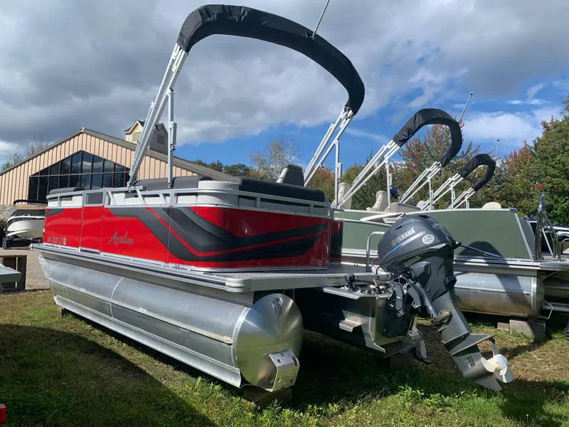 Slide: The Image of Avalon Venture Cruise 17' 2023 - 4