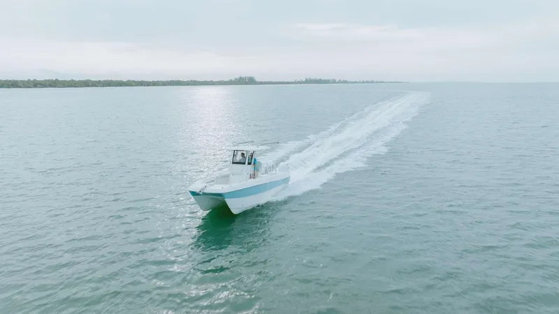 Slide: The Image of World Cat 235 TE 2026 - 56