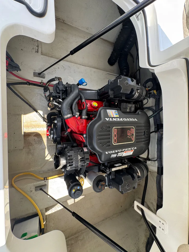 Slide: The Image of Cobalt 232 2009 - 16