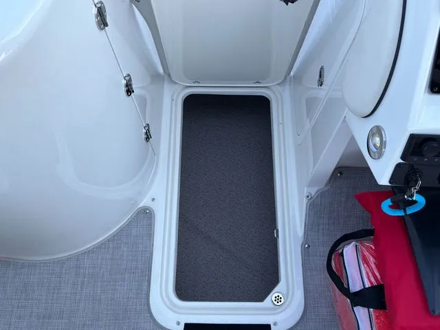 Slide: The Image of Stingray 231 DC 2023 - 18