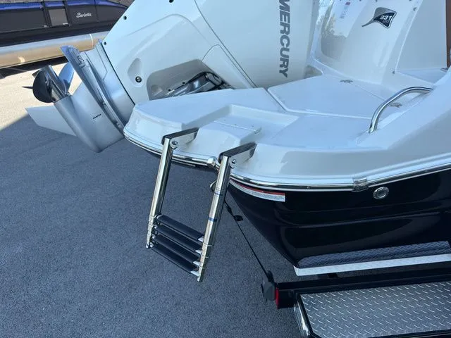 Slide: The Image of Stingray 231 DC 2023 - 3