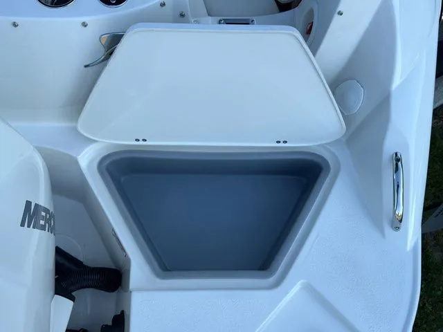 Slide: The Image of Stingray 231 DC 2023 - 4