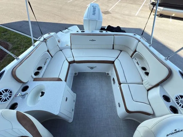 Slide: The Image of Stingray 231 DC 2023 - 6