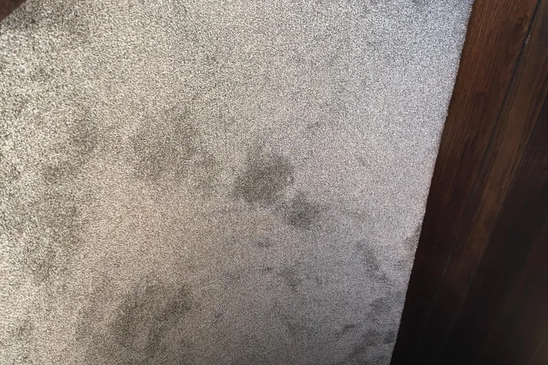 Slide: The Image of Beige carpet with wooden trim on a Pluckebaum Baymaster 52, 1977 model. - 30