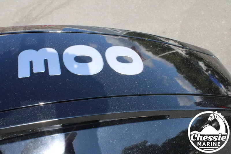 Slide: The Image of Cobalt R4 OB 2022 - 10