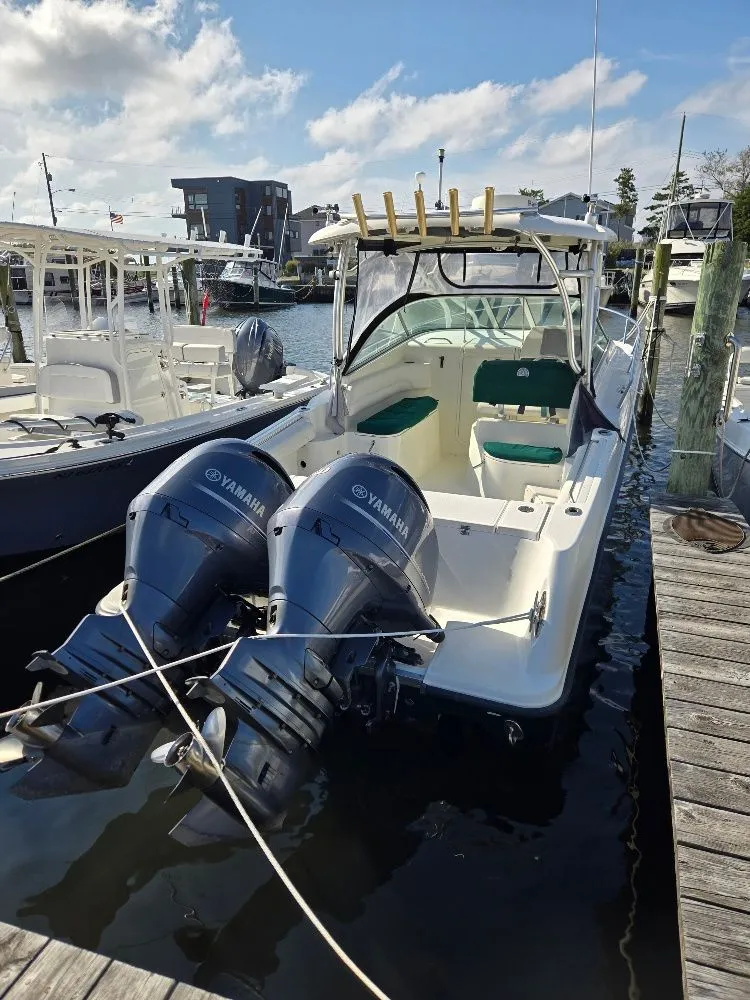 Slide: The Image of Hydra-Sports Vector 2500 VX 2005 - 1