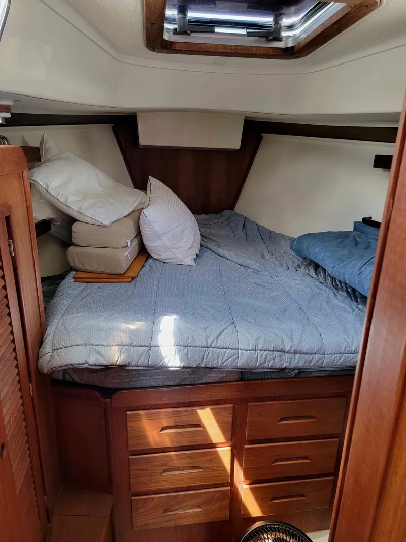 Slide: The Image of Tartan 3800 1995 - 7