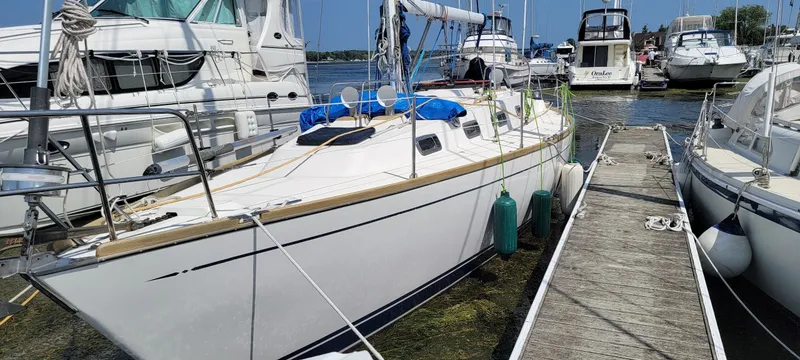 Slide: The Image of Tartan 3800 1995 - 8