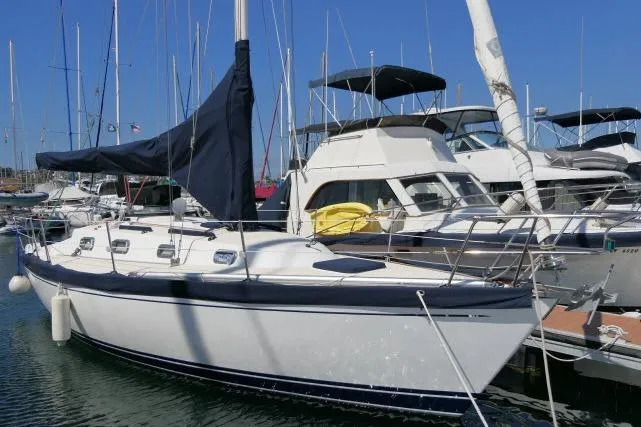 The Image of Sailboat Tartan 3100, 1995 model, docked in marina with other boats. - 1