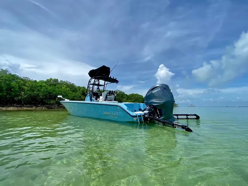 Slide: The Image of Pathfinder 2700 Open 2026 - 13