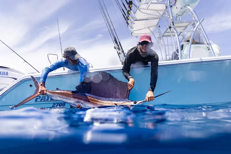 Slide: The Image of Pathfinder 2700 Open 2026 - 17