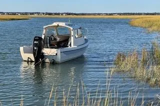 Slide: The Image of 1992 CDory 16 Cruiser boat on calm water near grassy shoreline. - 3