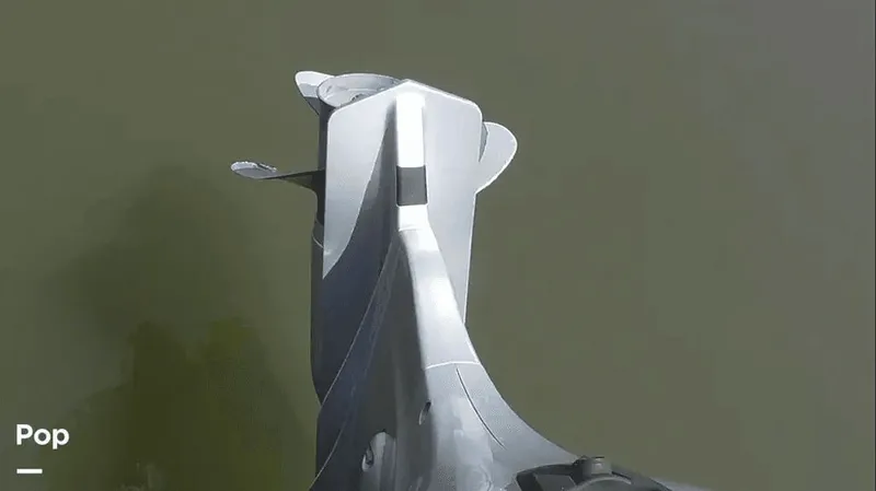 Slide: The Image of Manitou Aurora LE 20 2019 - 37