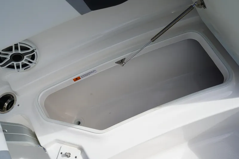 Slide: The Image of 2026 Robalo R250 Center Console storage compartment with speaker and hydraulic lift. - 45