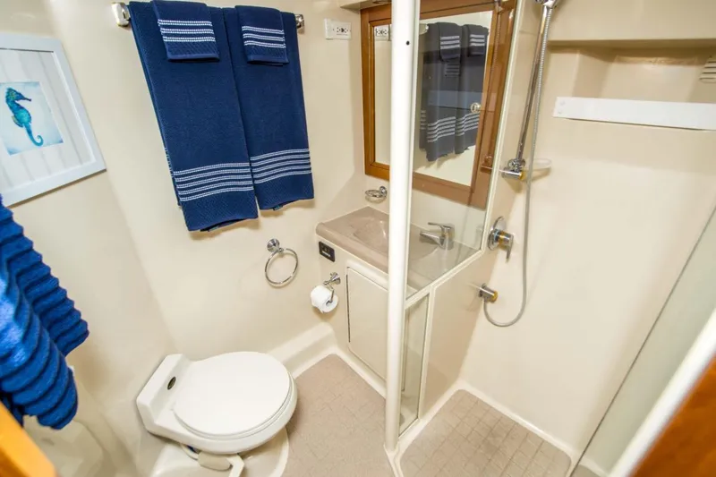 Slide: The Image of Bathroom interior of 2000 Riviera 48 Enclosed Flybridge with shower and blue towels. - 12
