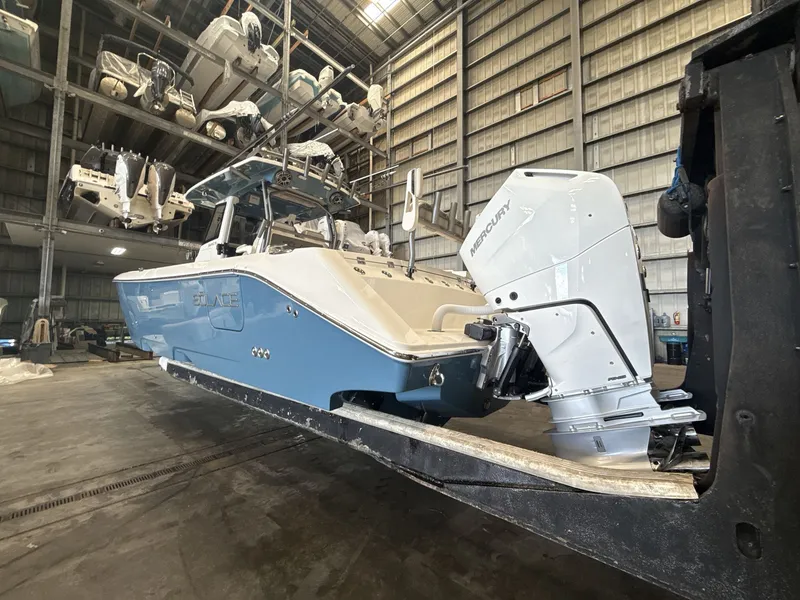 Slide: The Image of Solace 32 CS 2026 - 2