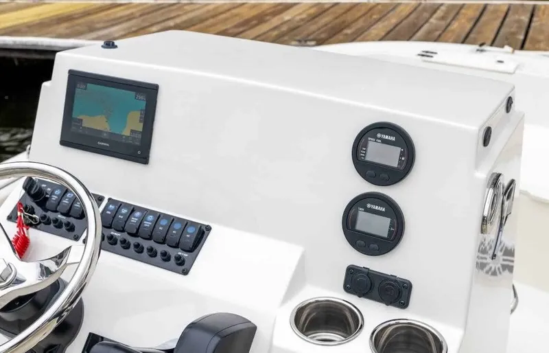 Slide: The Image of Stingray 173 CC 2026 - 7