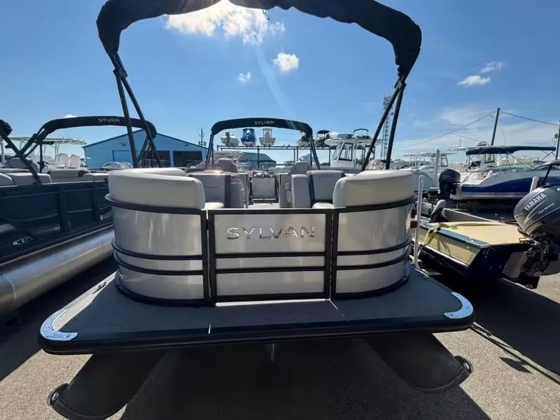 Slide: The Image of Sylvan Mirage X3 2025 - 3