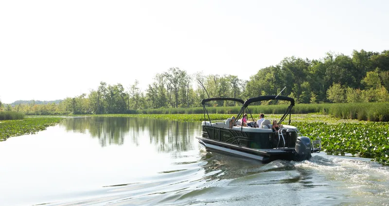 Slide: The Image of Sylvan Mirage X3 2025 - 6