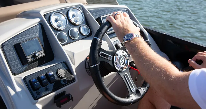 Slide: The Image of Sylvan Mirage X3 2025 - 9