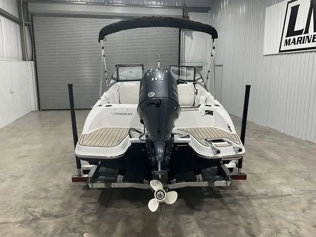 Slide: The Image of Stingray 191 DC 2026 - 3