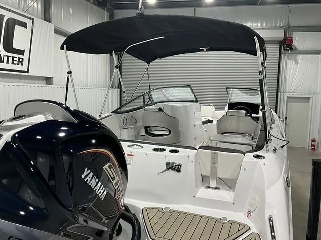 Slide: The Image of Stingray 231 DC 2026 - 7