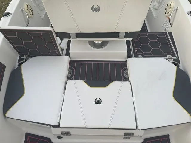 Slide: The Image of Scarab 195 Open ID 2018 - 12