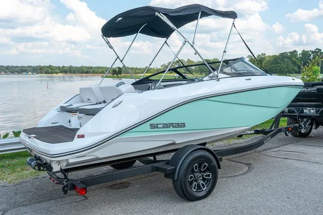 Slide: The Image of Scarab 195 ID 2023 - 2