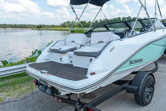 Slide: The Image of Scarab 195 ID 2023 - 3