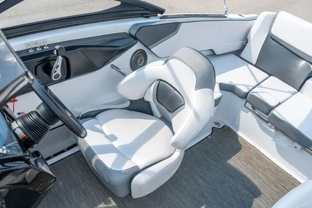 Slide: The Image of Scarab 195 ID 2023 - 6