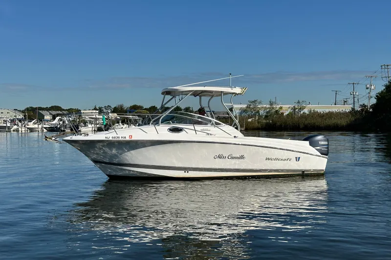 The Image of 2007 Wellcraft 252 Coastal boat on calm water, clear sky background. - 0