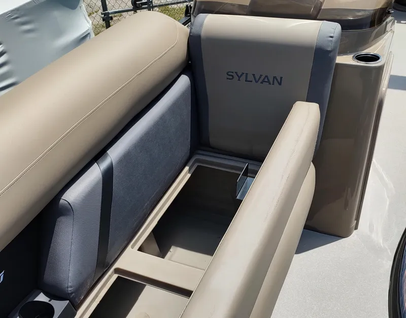 Slide: The Image of Sylvan X3 Party Fish - 6