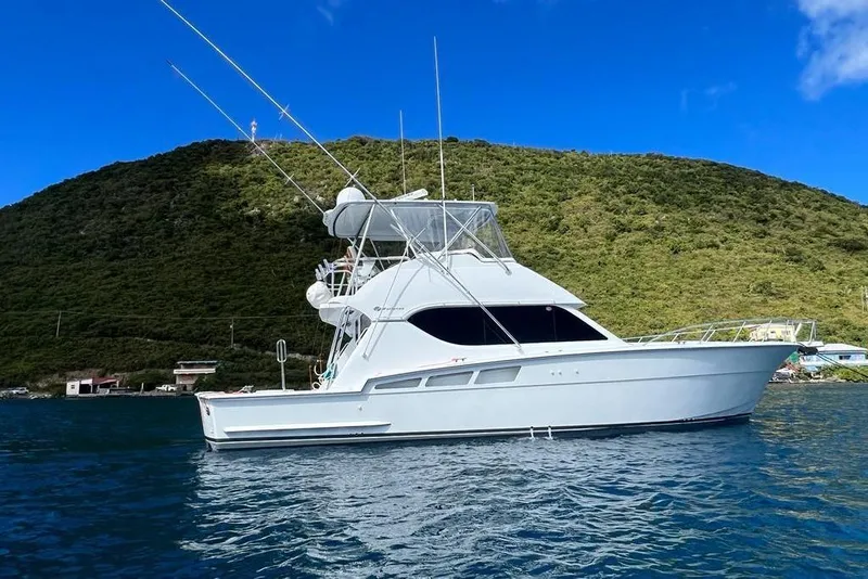 The Image of 2005 Hatteras 50 Convertible yacht on water, with lush green hillside background. - 0