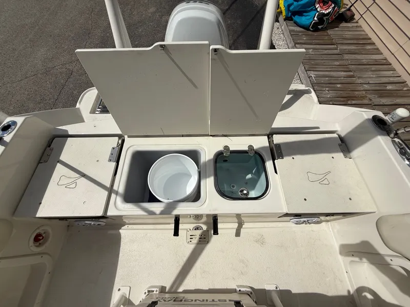 Slide: The Image of Stingray 173 CC 2022 - 8