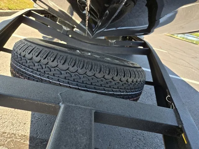 Slide: The Image of Vexus AVX1980 2024 - 9