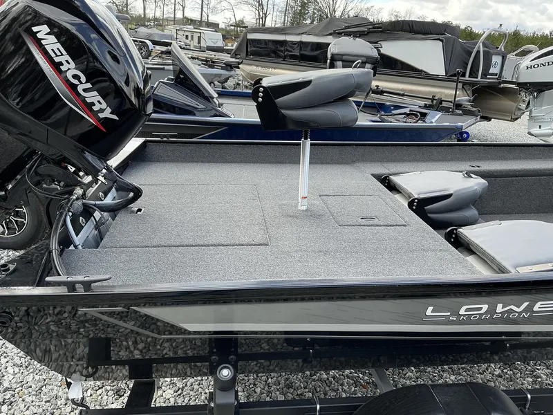 Slide: The Image of Lowe Skorpion 2025 - 5