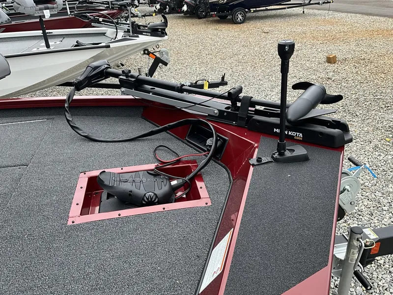 Slide: The Image of Lowe Stinger 195 2025 - 8