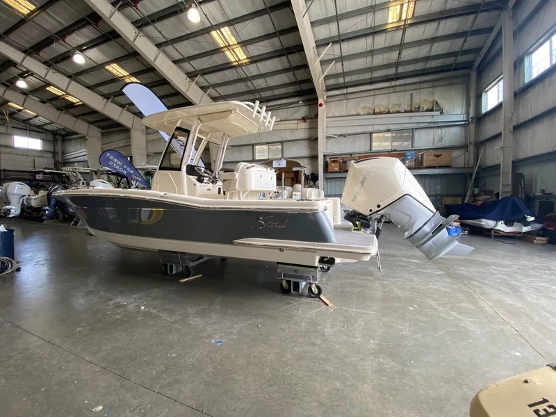 The Image of Scout 240 XSF 2026 - 0